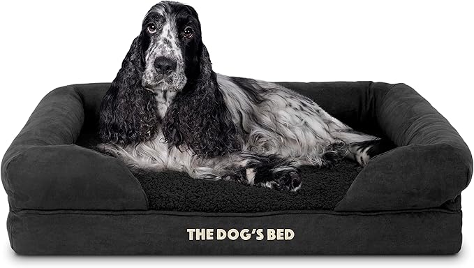 The Dog’s Bed Orthopedic Memory Foam Dog Bed with Bolsters, Plush Fabric, Black Plush, M