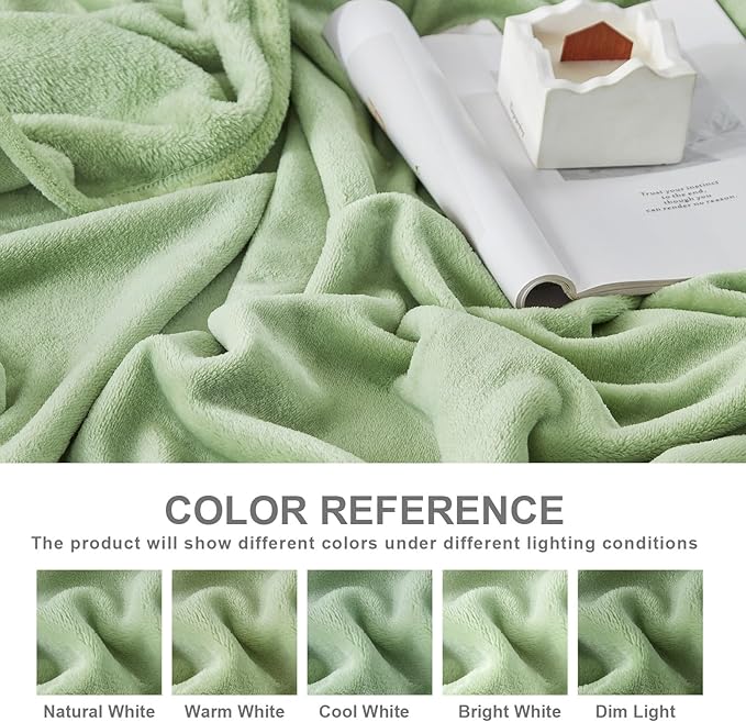 Hansleep Fleece Sage Green Queen Blanket, Super Soft Flannel Fuzzy Plush Cozy Blanket for All Seasons, Sage Green, Queen 90x90 Inches