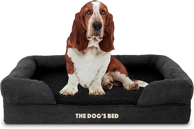 The Dog’s Bed Orthopedic Memory Foam Dog Bed with Bolsters, Plush Fabric, Black Plush, L