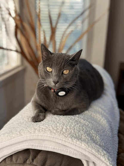 Sherpa Dog & Cat Blanket, Cozy Ultra-Soft Fleece Comfort for Your Furry Family