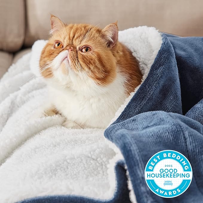 Bedsure GentleSoft Sherpa Fleece Blankets Queen Size for Bed - Thick and Warm Throw for Women and Men, Soft Fuzzy Plush Queen Blanket for Winter, Non-Heated, Slate Blue, 90x90 Inches