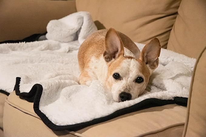 Sherpa Dog & Cat Blanket – Cozy Soft Fleece Comfort for Your Furry Family