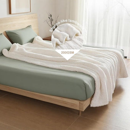 Electric Heated Blanket Queen Size 84"×90" Dual Control, 9 Heating Settings & 1-10Hs Auto Off, Overheat Protect, Double-Sided Plush Sherpa, for Couch & Bed, Machine Washable White