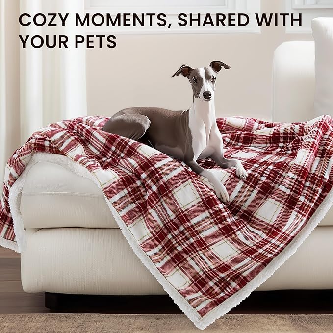 Heated Blanket Electric Throw 50''x60''Ultra Soft Plaid Flannel Fast Heating Electric Blanket with 10 Heat Levels & 10 Hrs Auto Off, ETL Certified, Keep Warm in Couch Bed Office (Red)
