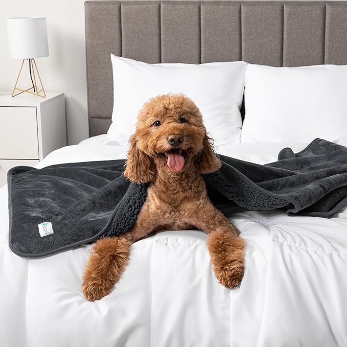 PetAmi Waterproof Dog Blanket - Pee Proof & Reversible for Medium Large Dogs, Pups & Cats. Soft Fleece, Washable, 40x60 Gray