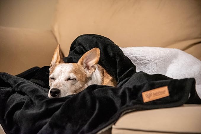 Sherpa Dog & Cat Blanket – Cozy Soft Fleece Comfort for Your Furry Family