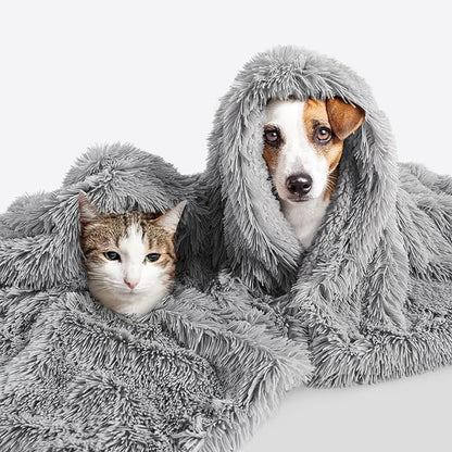 LOCHAS Luxury Fluffy Dog Blanket, Extra Soft and Warm Sherpa Fleece Pet Blankets for Dogs Cats, Plush Furry Faux Fur Puppy Throw Cover, 20''x30'' Grey