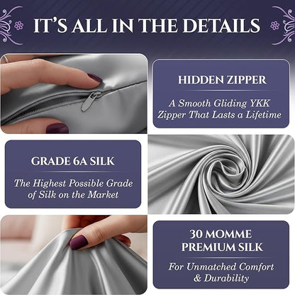 DECOLURE 100% Pure Mulberry Silk Pillow Case Queen Size – Highest Grade 30 Momme 6A+, Luxuriously Soft & Cooling Silk Pillowcase for Hair & Skin, Hypoallergenic, Breathable, Hidden Zipper (Silver)