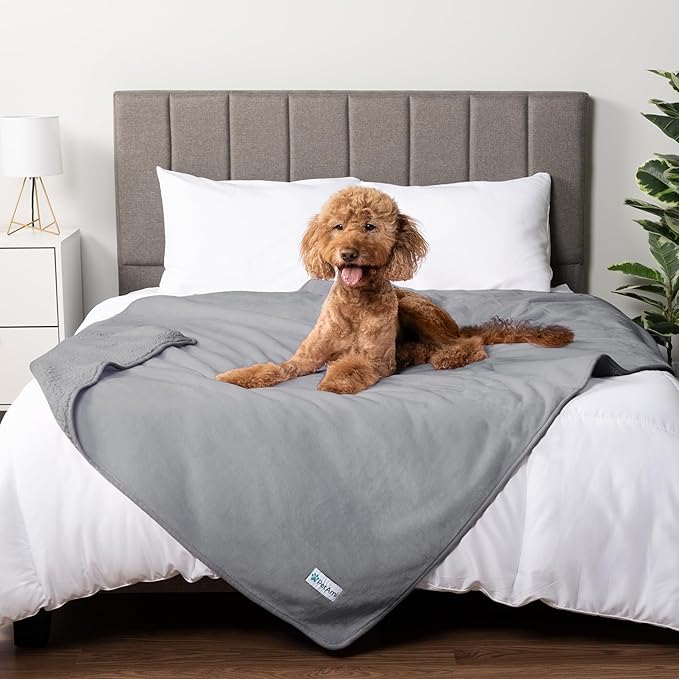 PetAmi Waterproof Dog & Cat Blanket for Medium Large Pets, Reversible Pee Proof for Bed, Couch Indoor, Soft Washable, 60x80 Light Gray