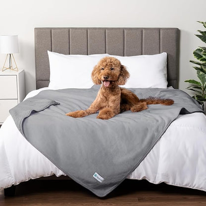 PetAmi Waterproof Dog & Cat Blanket for Medium Large Pets, Reversible Pee Proof for Bed, Couch Indoor, Soft Washable, 60x80 Light Gray