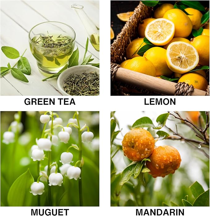 Tea Garden Bliss Reed Diffuser – Aromatherapy Diffuser with Green Tea, Mandarin & Muguet, Long-Lasting Scented Oil for Home, Bathroom, Bedroom – 150ml