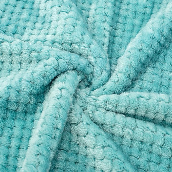 Fuzzy Blanket or Fluffy Blanket for Baby Girl or boy, Soft Warm Cozy Coral Fleece Toddler, Infant or Newborn Receiving Blanket for Crib, Stroller, Travel, Outdoor (24" x 32", DG-Blue Bell)