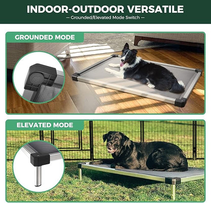 FXW TitanNest Chew-Proof Elevated Dog Bed, Raised Cot for Indoor/Outdoor/Camping Use, Durable & Washable Padded Pet Bed for Medium Dogs, 42.0" L x 27.0" W x 5.0" H, Gray