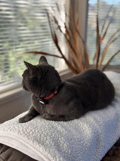 Sherpa Dog & Cat Blanket, Cozy Ultra-Soft Fleece Comfort for Your Furry Family