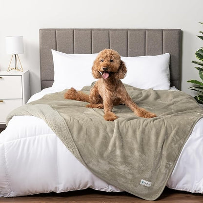 PetAmi Waterproof Dog Blanket for Medium Large Dogs, Pee Proof for Bed Couch, Reversible for Puppy Indoor Cat, Soft Dog Pee Crate Cover Washable, 60x80 Taupe