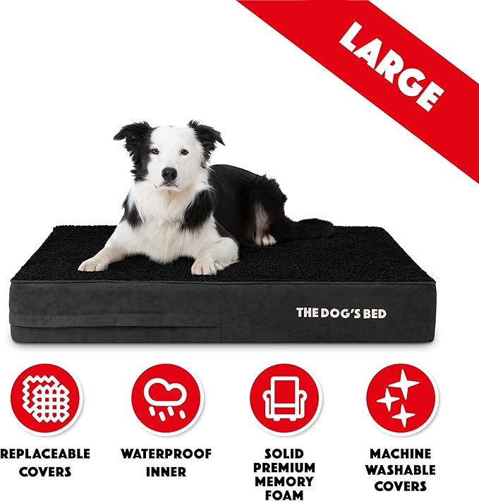 The Dog’s Bed Orthopedic Memory Foam Dog Bed Mattress, Plush Fabric, Black Plush, L, 6-Inch