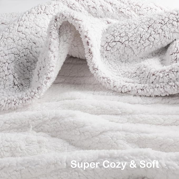 Electric Heated Blanket Full Size 72"×84" with 9 Heating Levels & 1-10Hs Auto Off，Double Sided Plush Sherpa, Energy Efficient, Machine Washable, for Couch & Bed, Light Gradient Purple