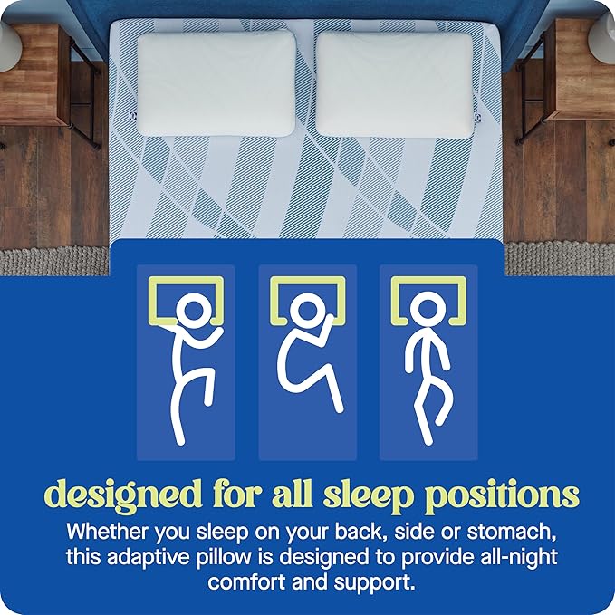 Sealy Dreamlife Queen Size Memory Foam Cooling Pillow with Surface Guard Technology, Removable Machine-Washable Cover, 1 Year Limited Warranty, White (2 Pack)