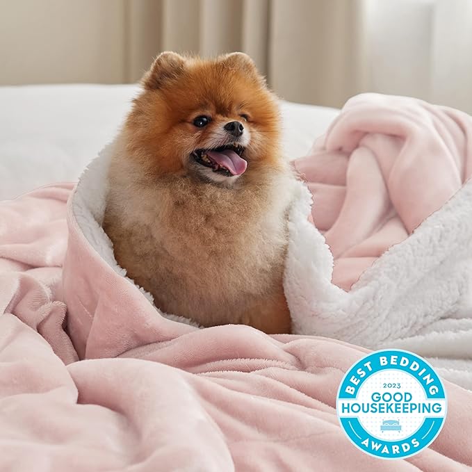 Bedsure GentleSoft Sherpa Fleece Throw Blanket Twin Size for Couch - Thick and Warm Throw for Women and Girls, Soft Fuzzy Plush Blanket for Winter, Room Home Decor, Non-Heated, Pink, 60x80 Inches