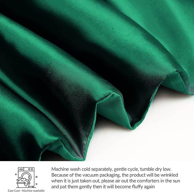 Whale Flotilla 3-Piece Reversible Silky Soft Queen Comforter Bedding Set, Luxurious Satin Comforters Full Size with 2 Satin Pillowcases, Lightweight Duvet for All Seasons, Deep Green