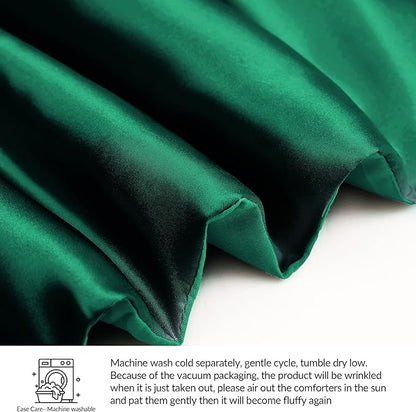 Whale Flotilla 3-Piece Reversible Silky Soft Queen Comforter Bedding Set, Luxurious Satin Comforters Full Size with 2 Satin Pillowcases, Lightweight Duvet for All Seasons, Deep Green