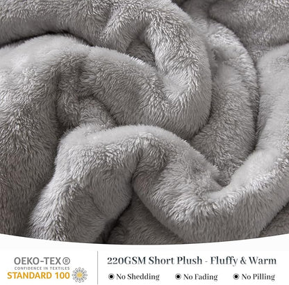 YIYEA Fluffy Queen Size Comforter Set, Luxury Faux Fur Comforter, Ultra Soft Plush Fuzzy Velvet Bedding Comforter Sets for Fall Winter, Cozy Warmth, No Shedding, 3PC, Queen, Light Grey