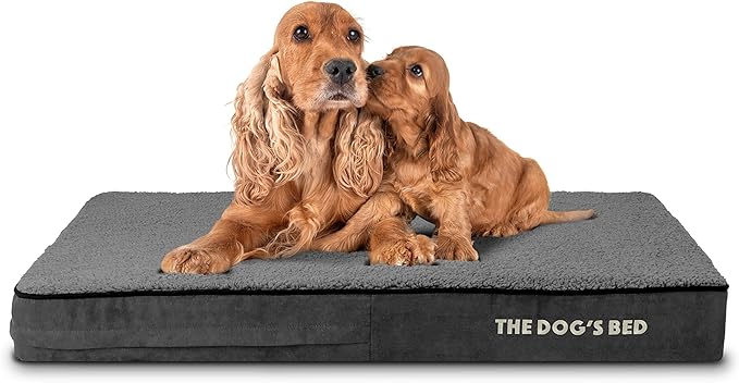 The Dog’s Bed Orthopedic Memory Foam Dog Bed Mattress, Plush Fabric, Grey Plush, L, 4-Inch