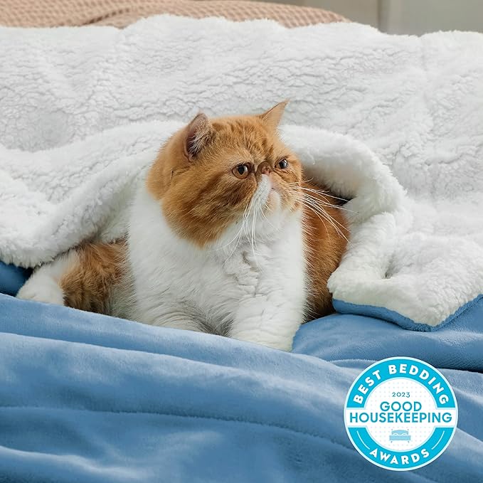 Bedsure GentleSoft Sherpa Fleece Throw Blanket Twin Size for Couch - Thick and Warm Throw for Women and Men, Soft Fuzzy Plush Twin Blanket for Winter, Non-Heated, Washed Blue, 60x80 Inches