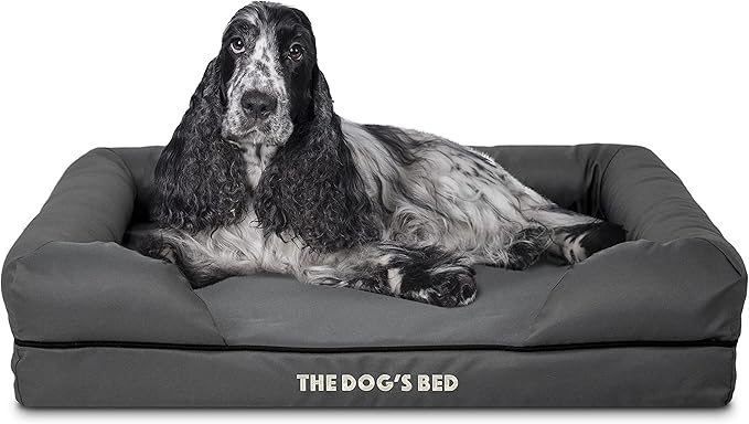 The Dog’s Bed Orthopedic Memory Foam Dog Bed with Bolsters, Oxford Fabric, Grey with Black Trim, M