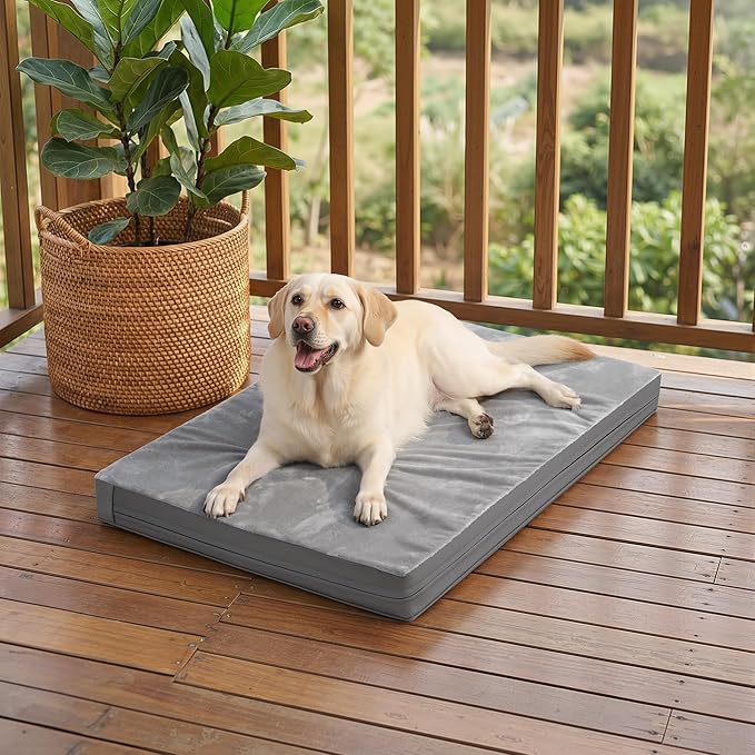 Waterproof XXXL Dog Beds Large Sized Dogs, Orthopedic Washable Crate Pad 54 inch, Jumbo XXXLarge Foam Pet Bed with Removable Cover Reversible, Anti-Slip Kennel Pad, 53"x36", Gray