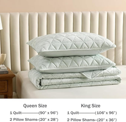 Homzard Velvet Quilt Set Queen Size Bedding Set,Mint Quilts Queen Size, Luxury Velvet Comforter, Light Green Bedspreads,Soft Lightweight Bed Set 3 Piece All Season