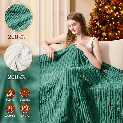 Homemate Electric Heated Blanket Queen Size - 84"x90" Heating Blanket Queen Size Dual Control 1/2/4/6/8 Hours Auto-Off 10 Heat Level Over-Heat Protection Soft Flannel Sherpa ETL Certification