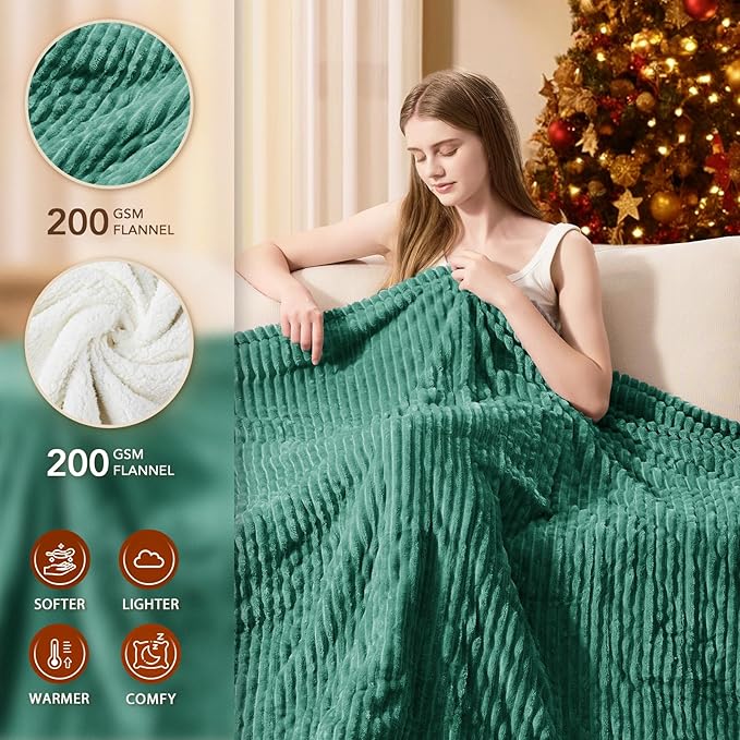 Homemate Electric Heated Blanket King Size - 100"x90" Heating Blanket King Size Dual Control 1/2/4/6/8 Hours Auto-Off 10 Heat Level Over-Heat Protection Soft Flannel Sherpa ETL Certification
