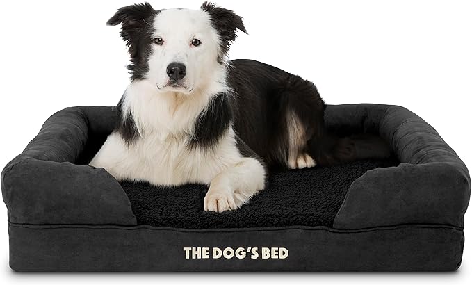 The Dog’s Bed Orthopedic Memory Foam Dog Bed with Bolsters, Plush Fabric, Black Plush, L
