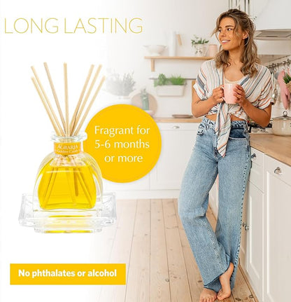 AGRARIA PetiteEssence Flower and Reed Diffuser Set, Hand Crafted Sola Flower Botanical Home Fragrance Set, Scented Oil Gift for All Occasions