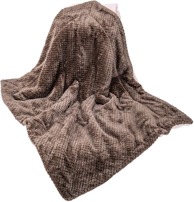 DW-Eagle Grey Plush Fleece Receiving Blanket for Dog, Cat, Couch, Travel - Warm, Soft, 32" x 40"