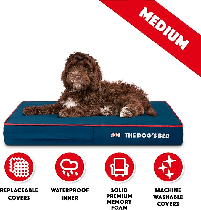 The Dog’s Bed Orthopedic Memory Foam Dog Bed Mattress, Oxford Fabric, Blue with Red Trim, M, 4-Inch