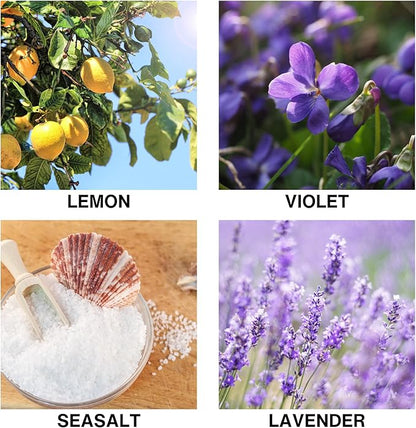 Ocean Breeze Reed Diffusers for Home – Aroma Diffuser with Violet, Lemon, Sea Salt & Lavender – Long Lasting Scented Home Fragrance Gift – 50ml