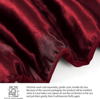 Whale Flotilla 2-Piece Reversible Silky Soft Twin Size Comforter Bedding Set, Luxurious Satin Comforters with Satin Pillowcase, Lightweight Duvet for All Seasons, Red
