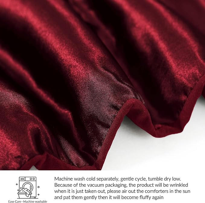 Whale Flotilla 3-Piece Reversible Silky Soft King Size Comforter Bedding Set, Luxurious Satin Comforters Oversized with 2 Satin Pillowcases, Lightweight Duvet for All Seasons, Red