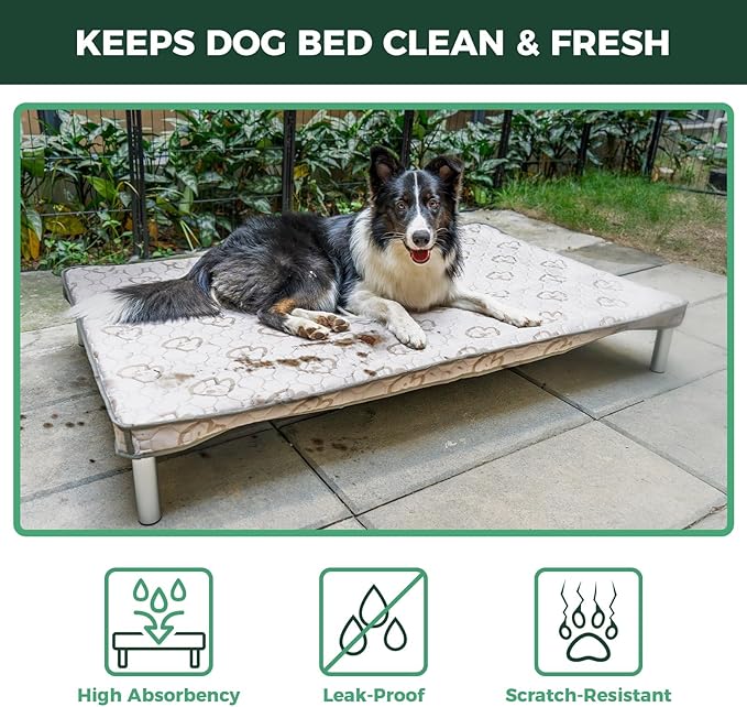 FXW TitanNest Chew-Proof Elevated Dog Bed, Raised Cot for Indoor/Outdoor/Camping Use, Durable & Washable Padded Pet Bed with Exclusive Reuseable Cover for Small Dogs, 35.0" L x 22.0" W x 4.5" H, Black