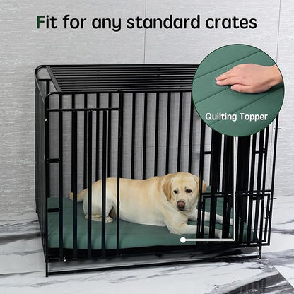 BALANCE Dog Crate Bed, Orthopedic Dog Bed Pad with Waterproof Liner, Washable Crate Foam Pet Mat for Large, Medium, Puppy Dogs Breeds, Mint Leaf, 24"x18"x1.6"
