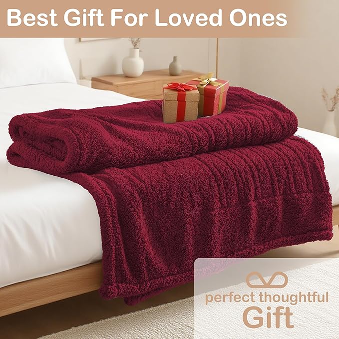 Electric Heated Blanket Throw Size 50"×60" with 9 Heating Levels & 1-10 Hs auto Off, Heating Throw Double Sided Sherpa, Energy Efficient, Machine Washable, for Couch & Office, Red
