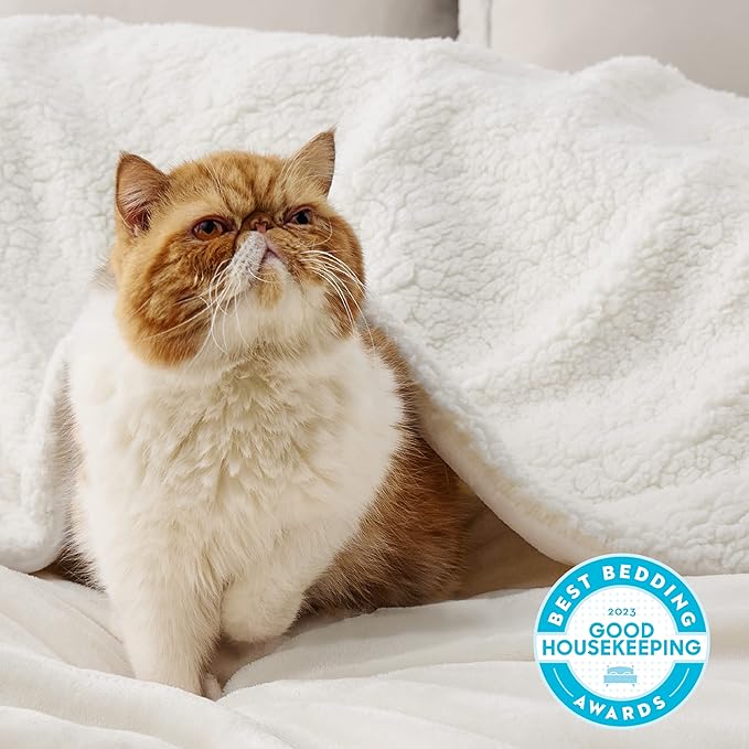 Bedsure GentleSoft Sherpa Fleece Blankets Queen Size for Bed - Thick and Warm Throw for Women and Men, Soft Fuzzy Plush Queen Blanket for Winter, Non-Heated, Cream, 90x90 Inches