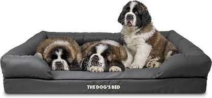 The Dog’s Bed Orthopedic Memory Foam Dog Bed with Bolsters, Oxford Fabric, Grey with Black Trim, XXL