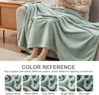 Hansleep Fleece Celadon Queen Blanket, Super Soft Flannel Fuzzy Plush Cozy Blanket for All Seasons, Celadon, Queen 90x90 Inches