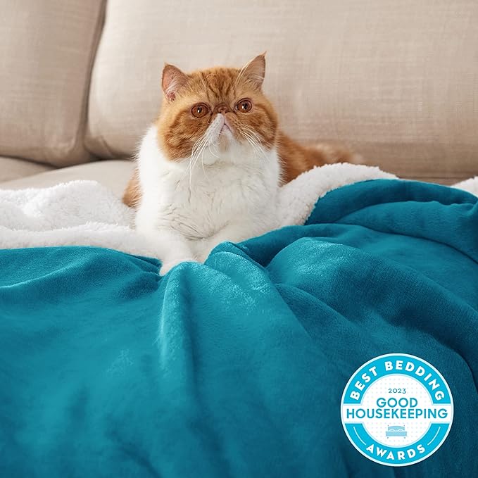 Bedsure GentleSoft Sherpa Fleece Throw Blanket Twin Size for Couch - Thick and Warm Throw for Women and Men, Soft Fuzzy Plush Twin Blanket for Winter, Non-Heated, Teal, 60x80 Inches
