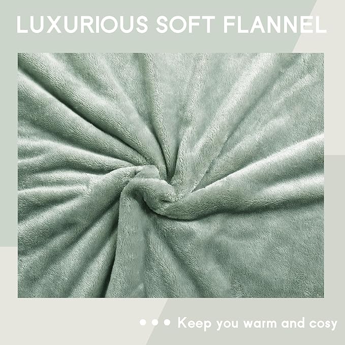Heated Blanket Electric Blanket Full Size 72''x84'' with 9 Heating Levels, 1-10 Hour Auto Shut Off, Machine Washable, Flannel & Sherpa Soft Warming Blanket for Couch, Bed, Office - Light Green