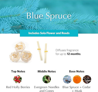 AGRARIA AirEssence Flower and Reed Diffuser Set, Handmade Sola Flower Botanical Home Fragrance Set, Scented Oil Reed Diffuser Gift for All Occasions