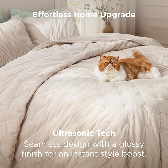 Bedsure Velvet Fleece Comforter Set Queen, Beige Lightweight Quilted Bedding Set, Soft Warm Blanket for All Season, 3 Pieces, 1 Comforter (90" x 90") and 2 Pillow Shams (20" x 26")